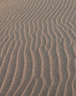 Close-up of wind-sculpted sand patterns at Arher Beach, Socotra, Yemen, showcasing the natural beauty and intricate designs formed by the desert winds. clipart