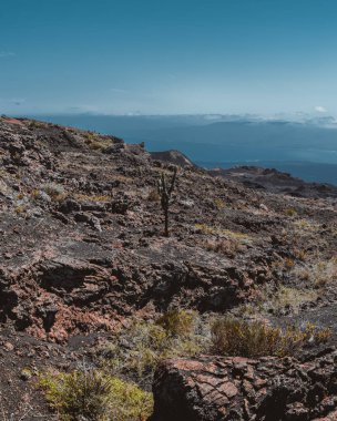Volkanik manzara ve okyanus manzarası Yanardağ Chico, Isla Isabela, Galapagos, Ekvador 'dan.