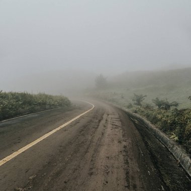 Volkan Chico, Isla Isabela, Galapagos Adaları, Ekvador 'daki arazide dönen sisli bir yol..