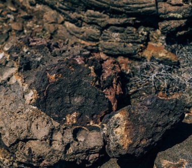 Volkanik Bartolome Adası, Galapagos Adası 'nın engebeli manzarası