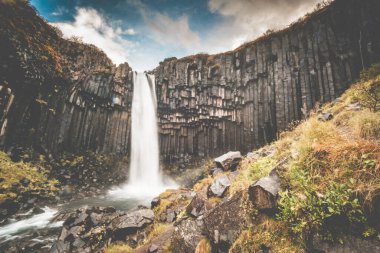 Svartifoss şelalesi Skaftafell, İzlanda 'da, eşsiz bazalt sütunlarla çevrili.