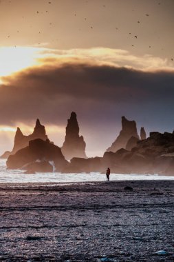 Silhouette of Reynisdrangar sea stacks at sunset on Vik's black sand beach, south coast of Iceland clipart