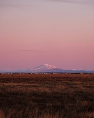 Pembe alacakaranlık sırasında Güney İzlanda 'da tarlalarla çevrili Hekla volkanı..