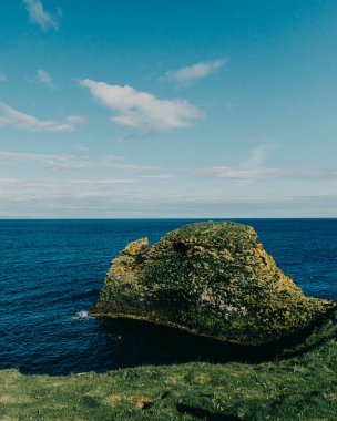 Arnarstapi, Snaefellsnes Yarımadası, Batı İzlanda kıyıları boyunca yeşil yosun kaplı engebeli bir deniz yığınının manzarası..