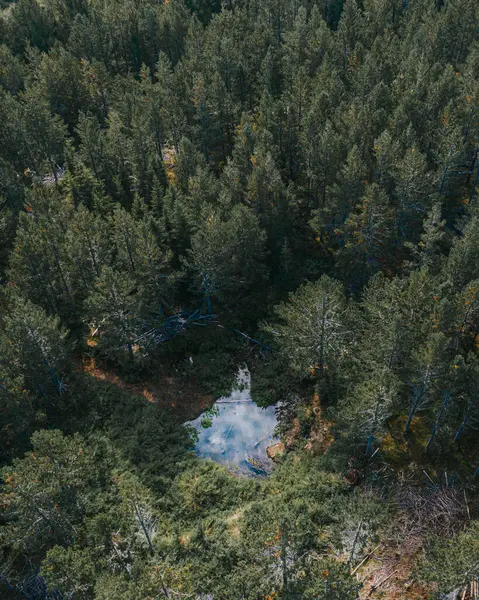 Westfjords, İzlanda 'daki orman göletinin hava manzarası gökyüzünü yansıtıyor