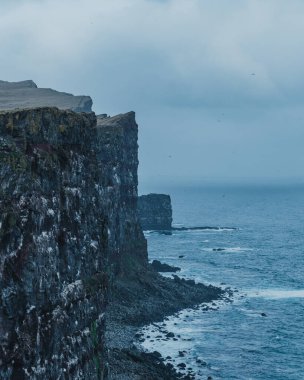 Latrabjarg 'ın dramatik deniz kayalıkları Westfjords, İzlanda' da Atlantik üzerinde yükseliyor.