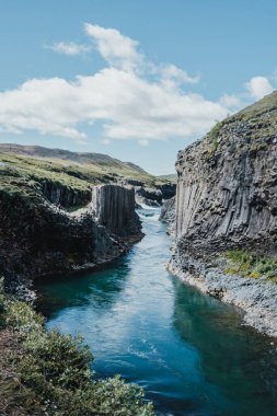 Doğu İzlanda 'daki Studlagil Kanyonu' nda bazalt kayalıkları ve buzul nehri