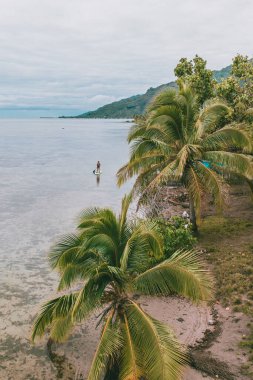 Moorea, Fransız Polinezyası 'nın avuç içi çizgili kıyılarında kürek çeken bir kadın.
