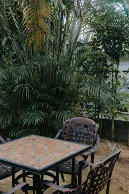 Moorea 'da yemyeşil tropikal bitkilerle çevrili açık teras koltukları.