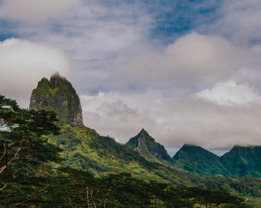 Moorea Adası 'nda alçak bulutlu yemyeşil Tohivea Dağı, Fransız Polinezyası