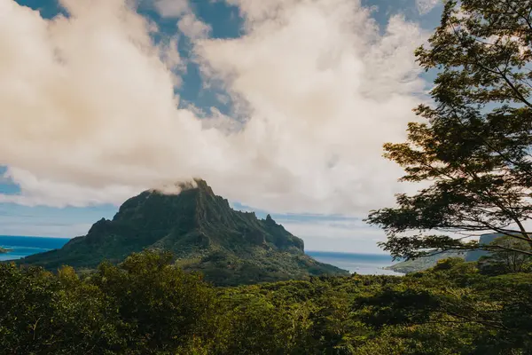 Rotui Dağı Fransız Polinezyası 'ndaki yemyeşil Moorea Adası' ndan yükselir.