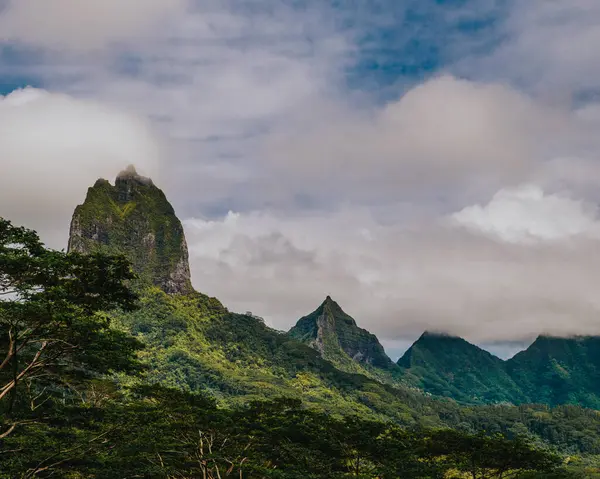 Moorea Adası 'nda alçak bulutlu yemyeşil Tohivea Dağı, Fransız Polinezyası