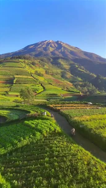 View Mountain Hill Magelang Village Indonesia — kuvapankkivideo