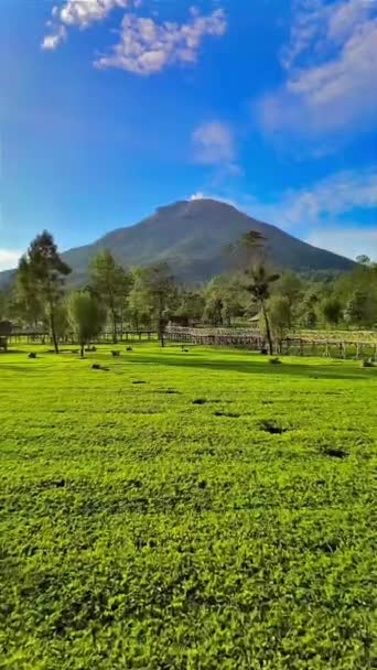 インドネシアのマジェラン村の山頂からの眺め — ストック動画