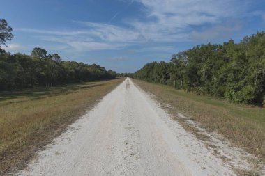 Flatwood Park New Tampa, Florida 'da bir koruma parkı. TPA havaalanına yakın bir doğa koruma alanı. Yürüyüş, bisiklet ve diğer egzersiz seçenekleri ucuz fiyata. Bruce B. Downs Bulvarı 'nda..