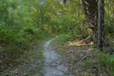 Flatwood Park New Tampa, Florida 'da bir koruma parkı. TPA havaalanına yakın bir doğa koruma alanı. Yürüyüş, bisiklet ve diğer egzersiz seçenekleri ucuz fiyata. Bruce B. Downs Bulvarı 'nda..