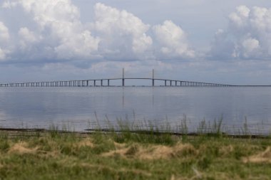 Florida Pinellas İlçesi, Ft. Desoto Sahili 'nin zemin katında görüldü.