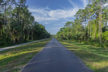 Floridas 'ın güzel Doğa Bölgesi' ndeki Tampa Doğa Koruma Parkı 'nda asfalt bir bisiklet ya da yürüyüş yolu. Egzersiz, bisiklet, yürüyüş, koşu, koşu, kuş gözlemi için harika..