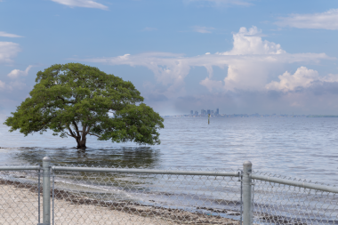 Piknik Adası Parkı, Tampa Körfezi, Florida ABD. Florida 'da, Eylül 2024' te sahile yakın bir tatil yeri.