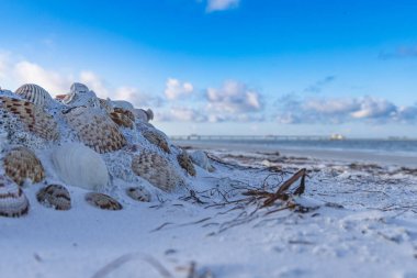 Uzakta Fort DeSoto Pier St. Petersburg Florida ile kumda sıralanmış çeşitli deniz kabukları çeşitleri. Bu gündoğumu fotoğrafı mavi ve beyaz bulutlu Bokeh kullanıyor..