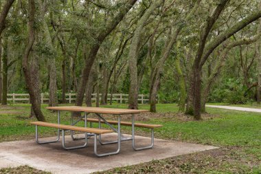 Lettuce Lake Park Hillsborough County Tampa Florida 'da yemyeşil ağaçlı bir patika boyunca bir piknik masası. Bir piknik masası yemyeşil ağaçların ve çalıların arasında yemyeşil, güzel, yeşil bir patika boyunca uzanır. 