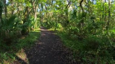 Hillsboro Nehri Eyalet Parkı Tampa Körfezi Florida ABD