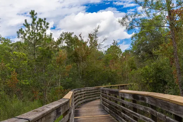 Yeni Tampa Doğa Parkı Hillsboro ilçesindeki Otizm Dostluk Parkı