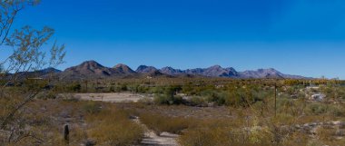 Uçsuz bucaksız bir çöl manzarası açık mavi gökyüzünün altındaki engebeli dağlara doğru uzanır. Kaktüs de dahil olmak üzere seyrek bitki örtüsü kurak araziyi karalıyor ve Tucson AZ 'de doğal bir sükunet ortamı yaratıyor.