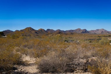 Tucson Dağları, Tucson, Arizona 'nın batısında bulunan engebeli bir sıradağdır. Sonoran Çölü 'nün bir kısmında, çevredeki çöl tabanından dramatik bir şekilde yükselirler.