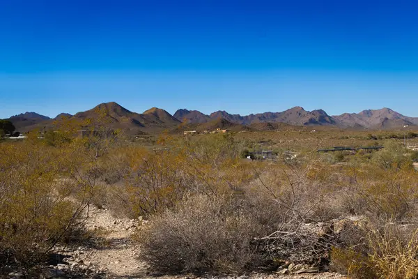 Tucson Dağları, Tucson, Arizona 'nın batısında bulunan engebeli bir sıradağdır. Sonoran Çölü 'nün bir kısmında, çevredeki çöl tabanından dramatik bir şekilde yükselirler.