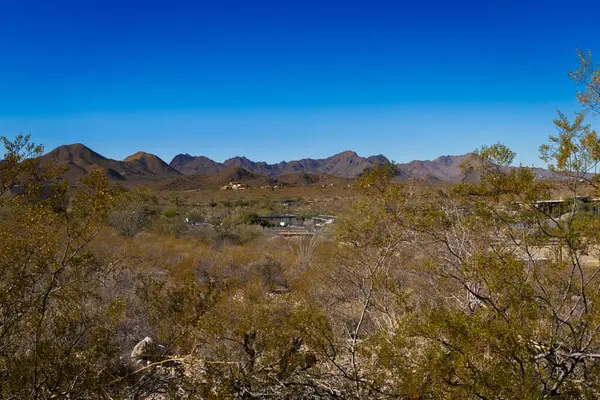 Tucson Dağları, Tucson, Arizona 'nın batısında bulunan engebeli bir sıradağdır. Sonoran Çölü 'nün bir kısmında, çevredeki çöl tabanından dramatik bir şekilde yükselirler.