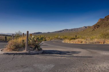 Dolambaçlı bir çöl yolu, uzun kaktüsler ve kayalık çıkıntılarla kaplı, güneşten sırılsıklam olmuş engin bir arazide yol alır. Uzakta, engebeli dağlar parlak mavi bir gökyüzünün altında yükseliyor, siluetleri ufka karşı keskin bir şekilde tanımlanıyor..