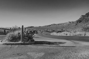 Dolambaçlı bir çöl yolu, uzun kaktüsler ve kayalık çıkıntılarla kaplı, güneşten sırılsıklam olmuş engin bir arazide yol alır. Uzakta, engebeli dağlar parlak mavi bir gökyüzünün altında yükseliyor, siluetleri ufka karşı keskin bir şekilde tanımlanıyor..