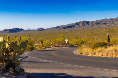 Dolambaçlı bir çöl yolu, uzun kaktüsler ve kayalık çıkıntılarla kaplı, güneşten sırılsıklam olmuş engin bir arazide yol alır. Uzakta, engebeli dağlar parlak mavi bir gökyüzünün altında yükseliyor, siluetleri ufka karşı keskin bir şekilde tanımlanıyor..