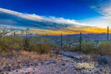 Uçsuz bucaksız bir çöl manzarası ince bulutlarla dolu canlı bir günbatımı gökyüzünün altında uzun saguaro kaktüslerini barındırır. Uzakta, bir şehir yuvarlanan tepeler ve dağların arasına kurulmuştur. Tucson AZ Aralık 2024
