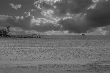 Anclote State Park in Pinellas County, Florida. The golden sands stretch along the peaceful coast, meeting the clear, gently lapping waters of the Gulf of Mexico clipart