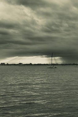 A breathtaking panoramic photograph of a serene sunset at Bayfront Park Sarasota Florida USA taken in January 2025 this peaceful image captures the beauty of the horizon with vibrant colors blending across the sky and reflecting on the calm waters clipart