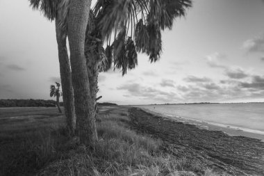 Bu çarpıcı fotoğraf güneş doğarken Fort DeSoto Park 'tan ikonik Sunshine Skyway Köprüsü' nü yakalar. Sabahın yumuşak altın ışığı, sakin sularda ılık tonlar yayarak, sahneyi nazikçe aydınlatıyor.. 