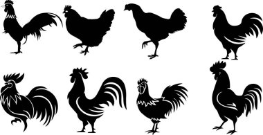 Beyaz arkaplanda Rooster Siluetleri, vektör illüstrasyonu.