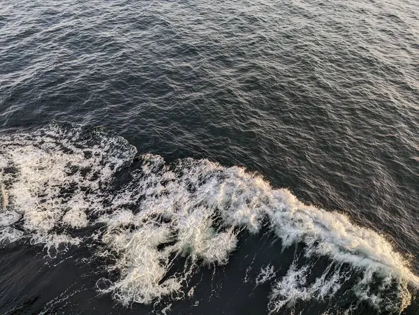 Colombo Sri Lanka Gangarama Sima Malaka Tapınağı