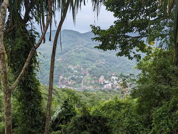 Phuket, Tayland 'ın güzel orman manzarası