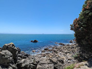 Tauranga Yeni Zelanda plaj manzarası