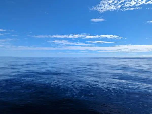 Güzel, güneşli bir sahil. Ufuk çizgisine kadar sakin suları olan bir yolcu gemisinde.