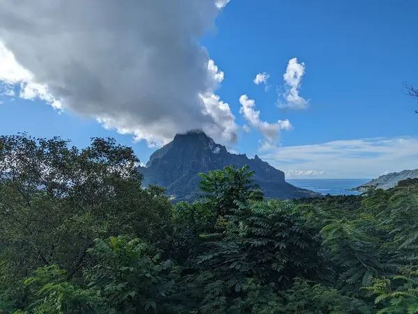 Moorea, Fransız Polinezyası Belvedere gözcü manzarası