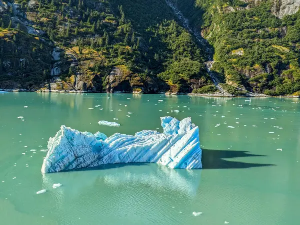 Endicott kolunda yüzen buz, Alaska