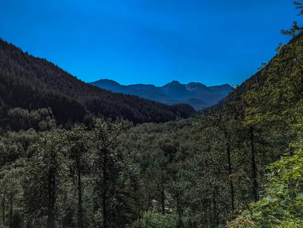 Preservance Trail 'in güzel manzarası
