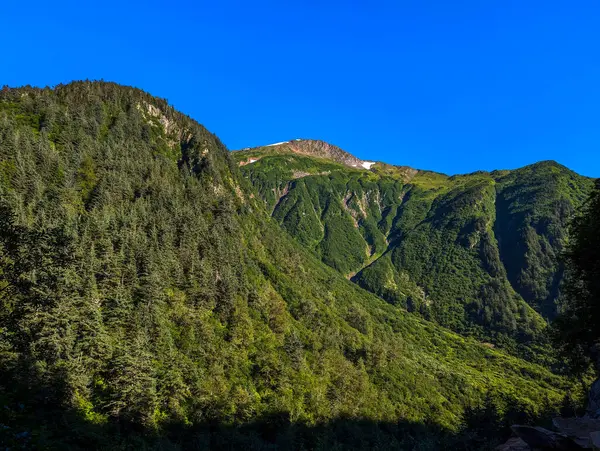 stock image Beautiful scenery of the Preservance Trail