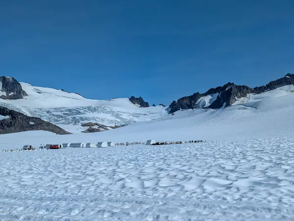 Buzulda köpek kızağı kampı