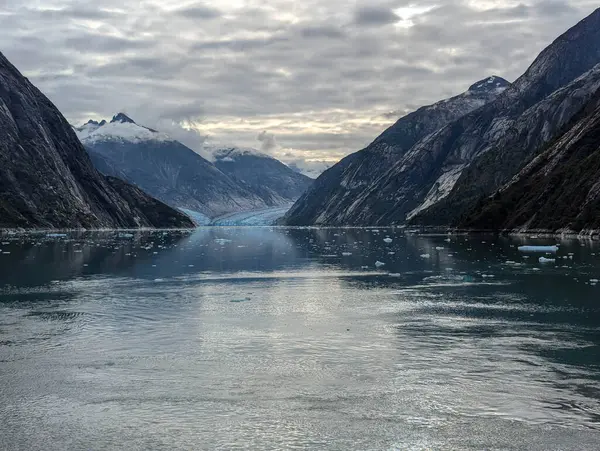 Endicott Arm 'daki Dawes Buzulu