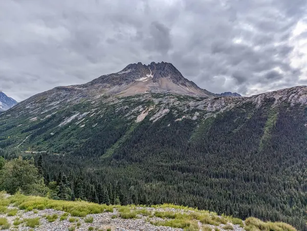 Space Needle 'dan Seattle' ın hava fotoğrafı